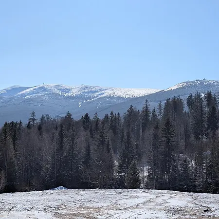 Pod Orlem 아파트 *