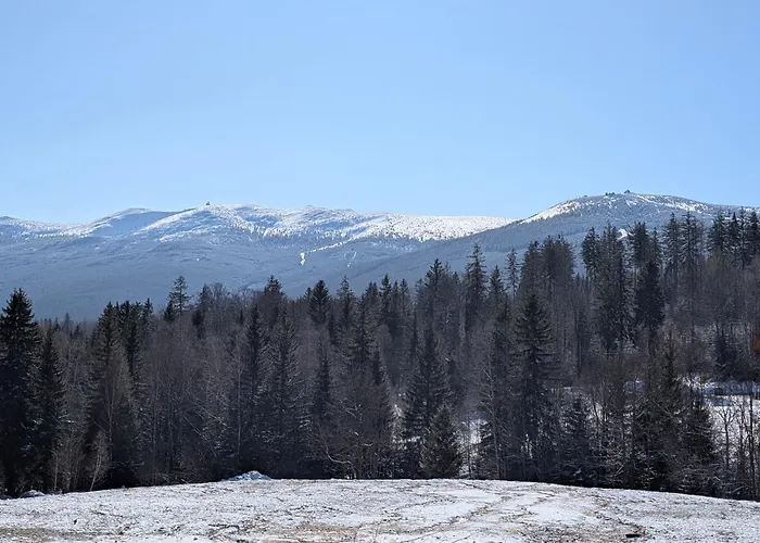 Pod Orlem 아파트 *