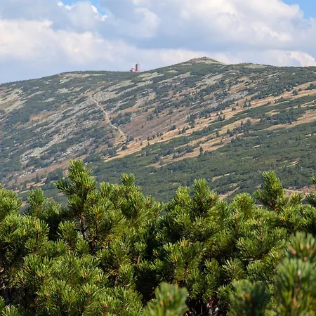 Pod Orlem 아파트 스클라르스카포렘바