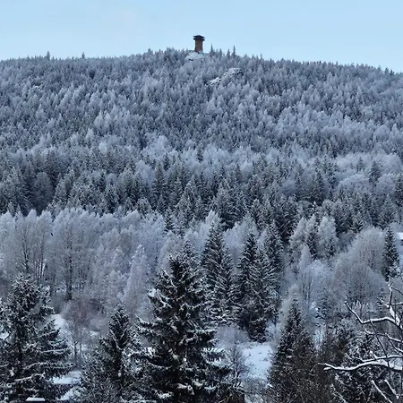 Pod Orlem 아파트 *