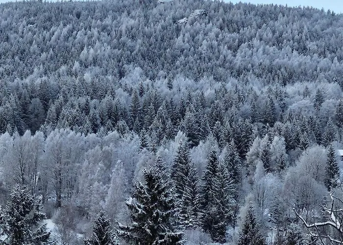 Pod Orlem Appartamento *